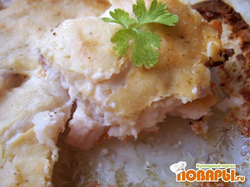 ���� �������