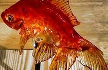 Amezaiku - сахарные «петушки» на японский лад