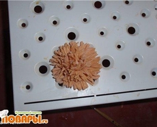 МК по астрам-хризантемам от TaninTortik