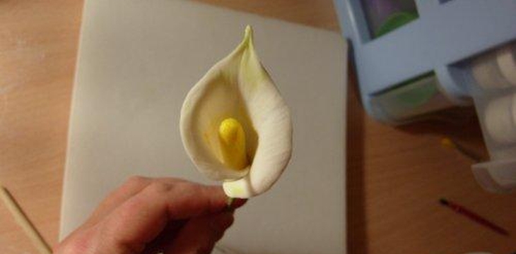 Шаг №12 МК Калла от Учредительница