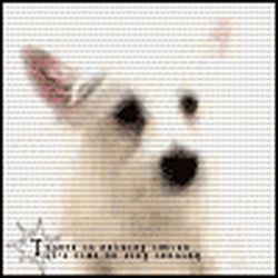 Аватар пользователя LLeka