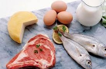 Белковая диета: её особенности и примерный рацион