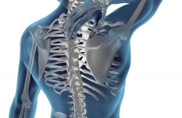 Статья: Рациональное питание для суставов и позвоночника