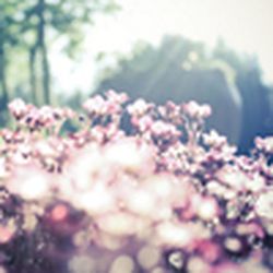 Аватар пользователя OlgaVikt