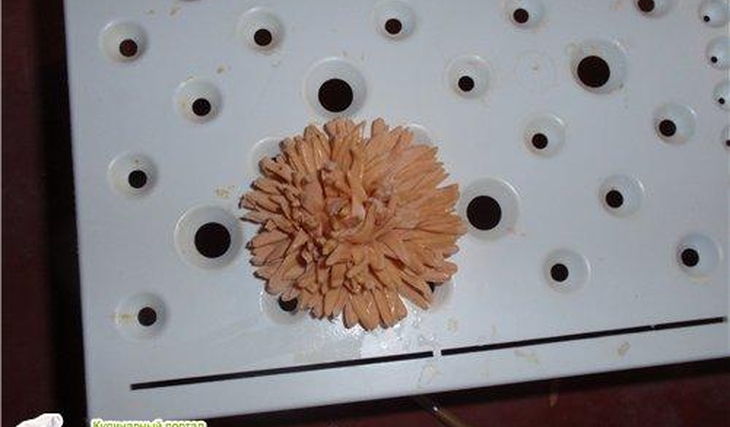 МК по астрам-хризантемам от TaninTortik