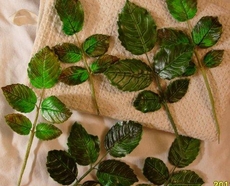 МК Листья розы на проволоке от Учредительница