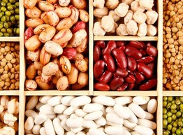 Растительное «мясо»