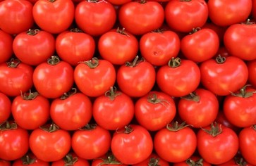 10 интересных фактов о томате