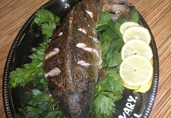 Королевский карп