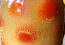 Рецепт: Помидоры, консервированные с горчицей