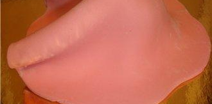 Шаг №4 Смешарики. Домик Нюши от Ksenechka