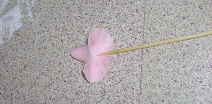 Шаг №2 МК Цветок, похожий на вьюнок от Annula