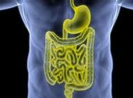 Статья: Методы очистки толстого кишечника