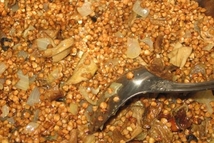 Шаг 22: Тоже немного обжариваем с луком …