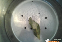 Шаг 2: Положить в холодильник на сутки. …