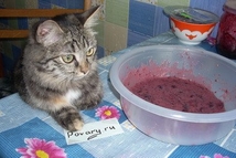 Шаг 8: Наслаждайтесь десертом и вспоминайте меня …