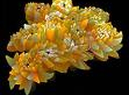 Статья: Нас уже 3500 человек ;-)