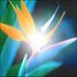 Аватар пользователя Musia