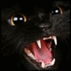 Аватар пользователя messympbephy