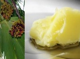 Статья: Все секреты пальмового масла