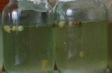 «Живительный рис», как его готовить и как принимать