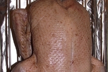 Шаг 3: оставляем утку на ночь в …