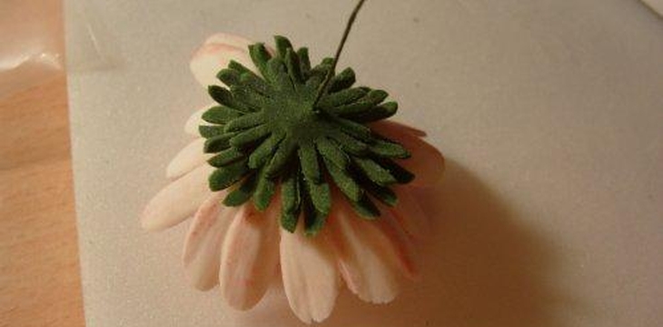 Шаг №19 МК Хризантемы от Учредительница