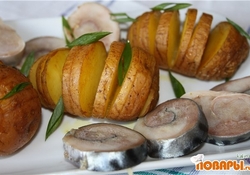 Рецепт: Рулет из малосольной скумбрии