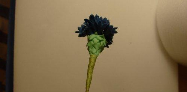 Шаг №29 МК Василёк от Учредительница