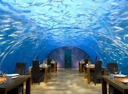 Самые необычные рестораны мира