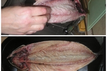 Шаг 1: Скумбрию почистить, распластать.