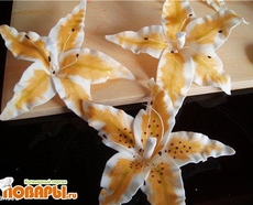 МК Лилия от Larissa3