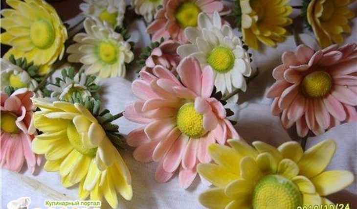 МК Хризантемы от Учредительница