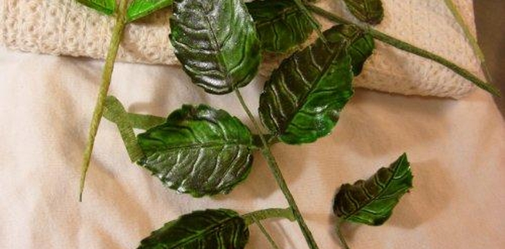 Шаг №7 МК Листья розы на проволоке от Учредительница