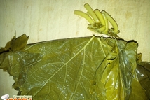 Шаг 2: Сначала обрежем стебельки у солёных …