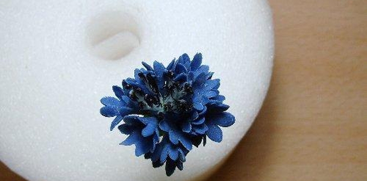 Шаг №31 МК Василёк от Учредительница