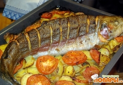 Форель запеченная с имбирем