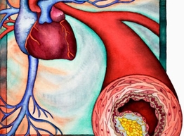 Статья: Как предотвратить накопление шлаков в организме