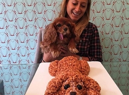 Статья: Невероятное угощение из воздушного риса