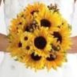 Аватар пользователя Olin