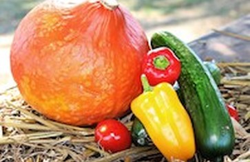 Хотите похудеть? Выбирайте диету по цвету!