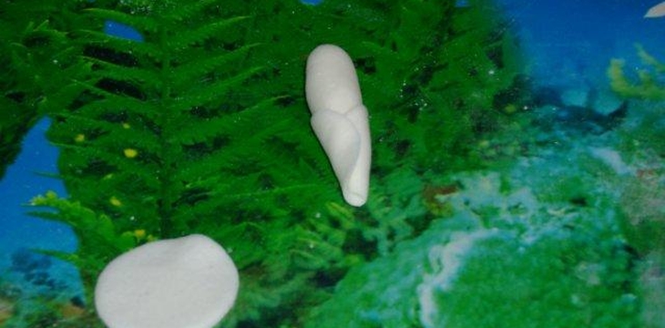 Шаг №5 МК Корзинка с розочками от Annula