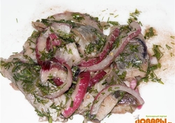 Рецепт: Маринованная сельдь