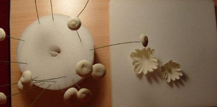 Шаг №7 МК Хризантемы от Учредительница