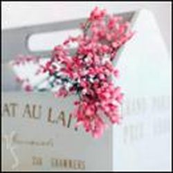 Аватар пользователя Maryasha