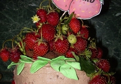 Торт "Клубничные страсти"