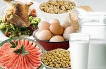 Роль белков в похудении