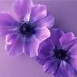 Аватар пользователя Anntata