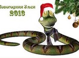 Как встречать Новый 2013 год
