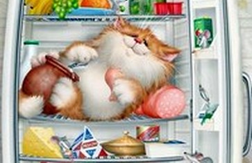 Что не следует хранить в холодильнике?